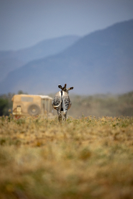 516999开奖网最新开奖信息与结果查询