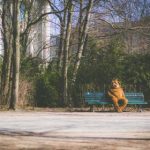 深入分析www.196.com:它在行业中的独特地位与影响力 522yp7