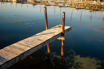 深入分析龙8的安全性与玩家隐私保护措施