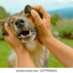 深入分析大宝娱乐网址的合规性与风控机制探讨 9u4oq8ub