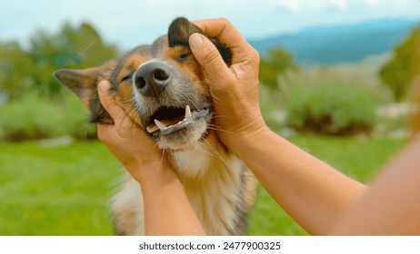 深入分析大宝娱乐网址的合规性与风控机制探讨