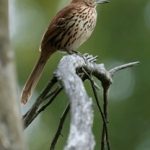 深入分析易胜博平台的游戏种类与玩法规则 b9ycdeephx