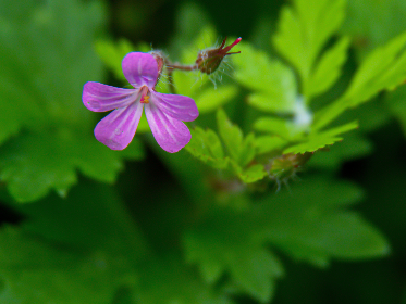 5228888马开奖最新结果揭晓，幸运号码震撼出炉