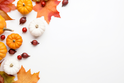 深入分析平博娱乐的市场竞争与未来前景