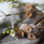 500比分直播足球比分:全球足球赛事即时比分与精彩战报 y289au