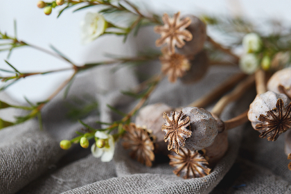 500比分直播足球比分:全球足球赛事即时比分与精彩战报