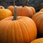 JR直播吧:畅享高清赛事直播的终极平台 4sp2y