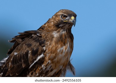 jts直播最新精彩回放全程高能瞬间