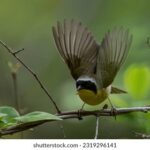 JTBC手机直播实时观看,随时随地掌握最新动态 xa2ye12